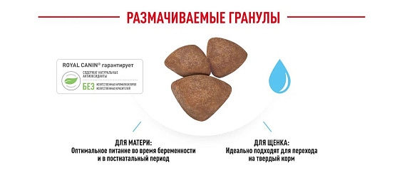 Royal Canin Mini Starter Корм сухой для щенков мелких размеров до 2-х месяцев, беременных и кормящих сук