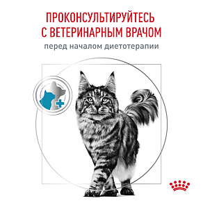 Royal Canin Skin & Coat (Скин энд Коат) Корм сухой для кошек для поддержания защитных функций кожи