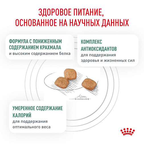 Royal Canin Diabetic (Диабетик) Корм сухой для взрослых кошек при сахарном диабете