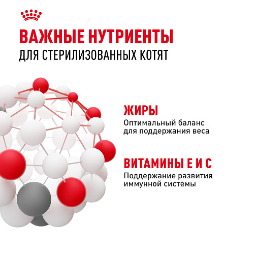 Royal Canin Корм для котят в возрасте до 12 месяцев (Kitten Sterilised), в желе