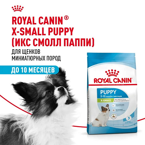 Royal Canin X-Small Puppy Корм сухой для щенков очень мелких размеров до 10 месяцев