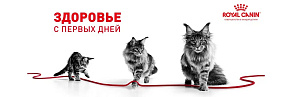 Royal Canin Kitten Sterilised Корм сухой сбалансированный для стерилизованных котят до 12 месяцев