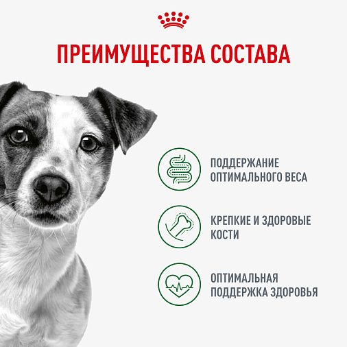Royal Canin Mini Adult Влажный корм для взрослых собак мелких размеров от 10 месяцев