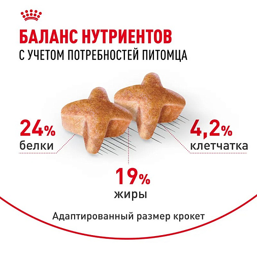 Royal Canin German Shepherd Adult Корм сухой для взрослых собак породы Немецкая Овчарка от 15 месяцев