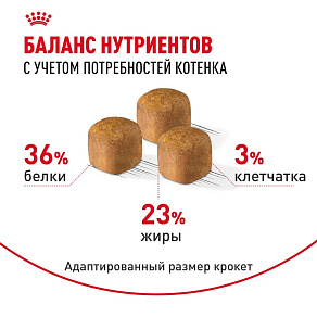 Royal Canin Maine Coon Kitten Корм сухой сбалансированный для котят породы Мэйн Кун