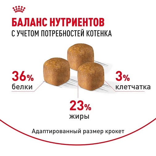 Royal Canin Maine Coon Kitten Корм сухой сбалансированный для котят породы Мэйн Кун