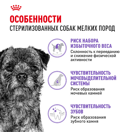 Royal Canin Mini Sterilised Корм сухой для взрослых стерилизованных собак мелких размеров, склонных к набору веса