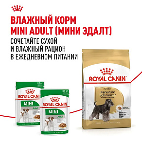 Royal Canin Miniature Schnauzer Adult Корм сухой для взрослых собак породы Миниатюрный Шнауцер от 10 месяцев