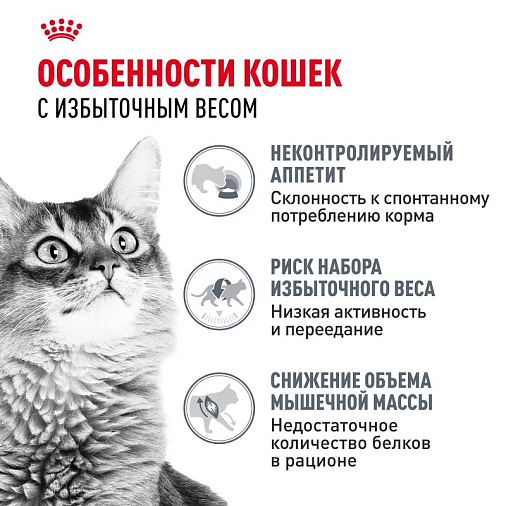 Royal Canin Light Weight Care Корм сухой для взрослых кошек для профилактики лишнего веса