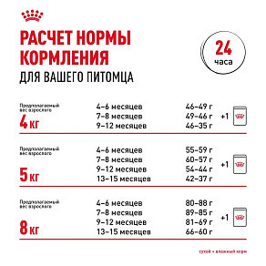 Royal Canin Maine Coon Kitten Корм сухой сбалансированный для котят породы Мэйн Кун