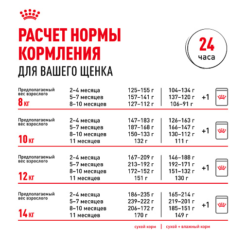 Royal Canin French Bulldog Puppy Корм сухой для щенков породы Французский Бульдог до 12 месяцев