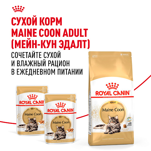 Royal Canin Maine Coon Adult Корм консервированный для взрослых кошек породы Мэйн Кун, соус