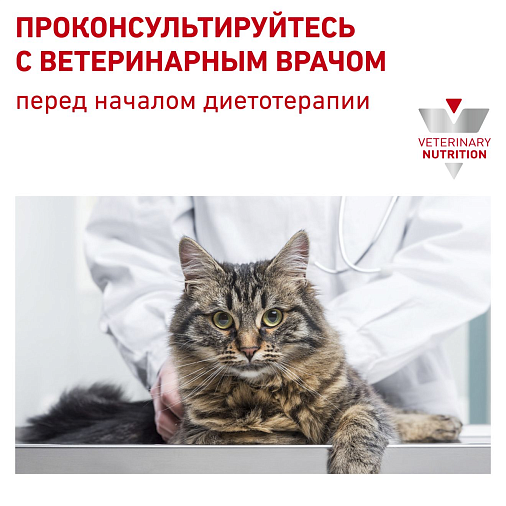 Royal Canin Skin & Coat (в соусе) Корм консервированный полнорационный для взрослых кошек старше 12 месяцев, с повышенной чувствительностью кожи / шерсти. Ветеринарная диета