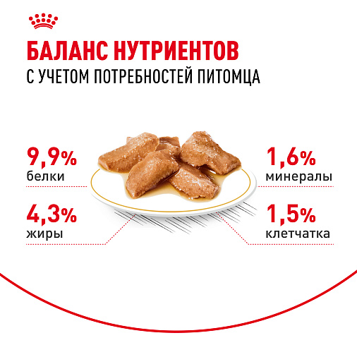 Royal Canin Maine Coon Adult Корм консервированный для взрослых кошек породы Мэйн Кун, соус