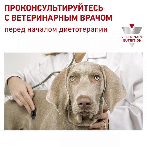 Royal Canin Cardiac Влажный корм для взрослых собак при сердечной недостаточности