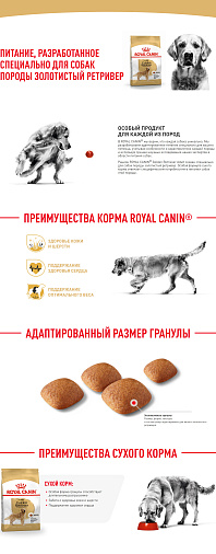 Royal Canin Golden Retriever Adult Корм сухой для взрослых собак породы Голден Ретривер от 15 месяцев