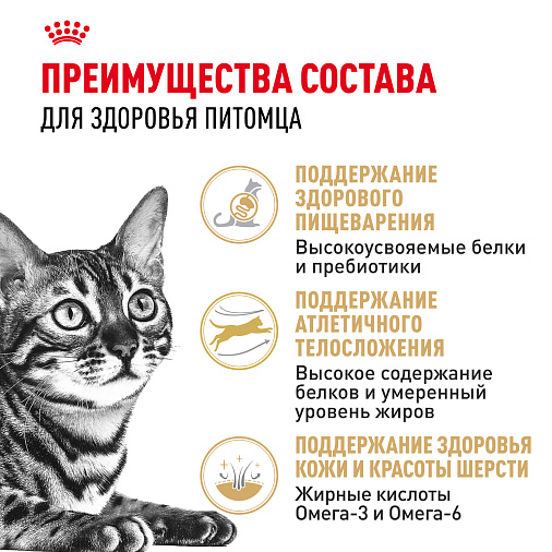 Royal Canin BENGAL ADULT Корм сухой полнорационный сбалансированный для кошек – Специально для взрослых бенгальских кошек старше 12 месяцев