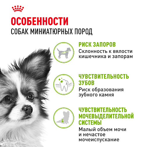 Royal Canin X-Small Adult Корм сухой для взрослых собак очень мелких размеров от 10 месяцев