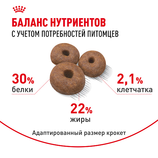 Royal Canin Giant Starter Корм сухой для щенков очень крупных размеров до 2 месяцев, беременных и кормящих сук