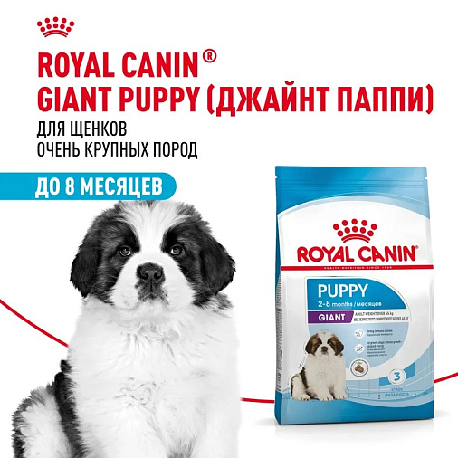 Royal Canin Giant Puppy Корм сухой для щенков очень крупных размеров до 8 месяцев