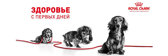 Royal Canin X-Small Puppy Корм сухой для щенков очень мелких размеров до 10 месяцев