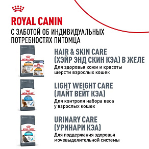 Royal Canin Hairball Care Корм сухой для взрослых кошек для профилактики образования волосяных комочков