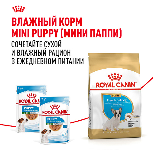 Royal Canin French Bulldog Puppy Корм сухой для щенков породы Французский Бульдог до 12 месяцев