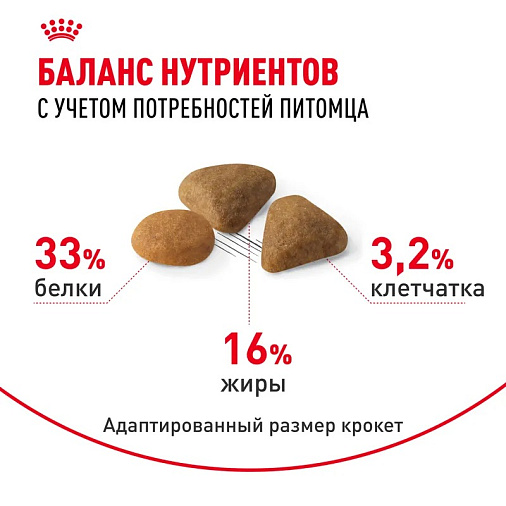 Royal Canin Savour Exigent Корм сухой сбалансированный для привередливых взрослых кошек от 1 года