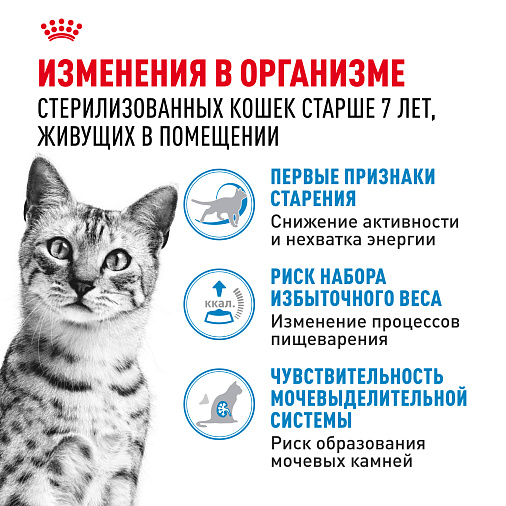 Royal Canin INDOOR STERILISED 7+ Корм консервированный полнорационный для кошек (в возрасте от 7 до 12 лет), живущих в помещении (мелкие кусочки в соусе)
